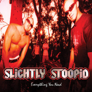 Slightly Stoopid "Everything You Need" (Vinyl)