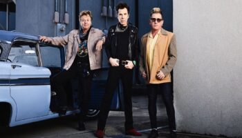 Stray Cats