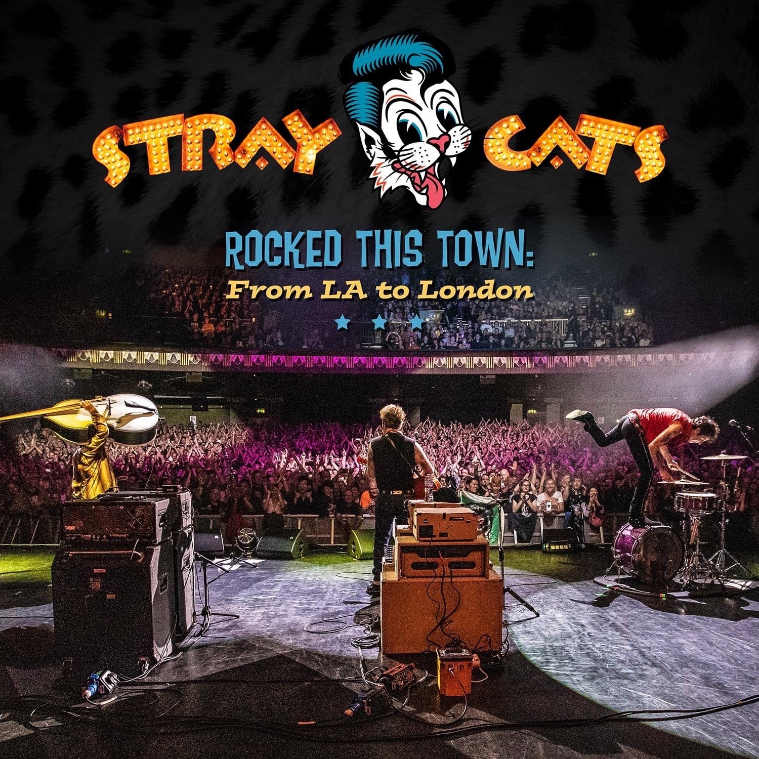 download free stray cats live